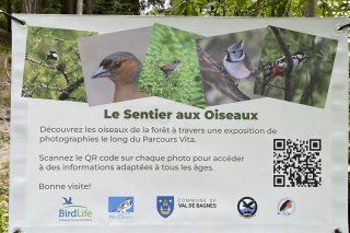 Un sentier à découvrir jusqu'au 1er décembre